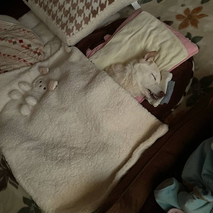 39528df6 f3e5 4de8 ac55 c765003a4b0b 1677882015791