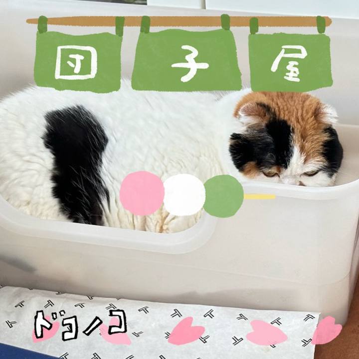 39529de3 1b63 4670 afa0 0430ed13bc45 1712264545779