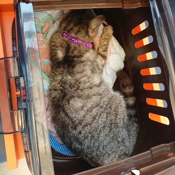 3952c2be 7e74 43c5 a22b ea9dc04ec0ad 1594286023955