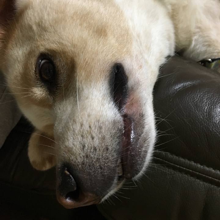 3952d796 942f 4ec6 803d 7b3be8cd7c5a 1537972804859