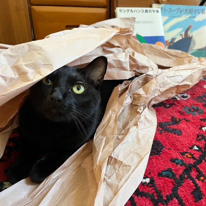 395315bf 3f2b 4595 b60e 04f7eb255eca 1692922115906