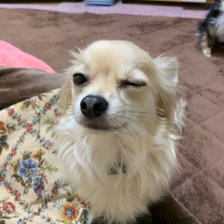 39533a8a 2ae1 4618 bf55 394d6d11ced2 1552088586160