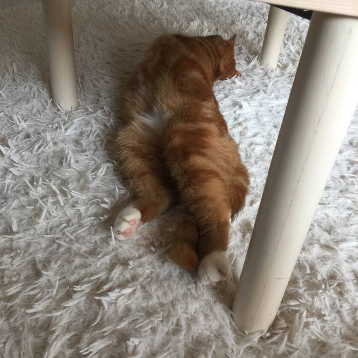 39535a78 37c0 4c5f 9be2 a4b28bc9852e 1590811747938