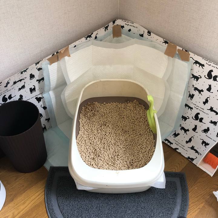 39535e7f 8afa 4d61 bce4 e9420b064f30 1566612980484