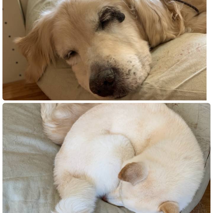 3953821a 0bb9 433c bd3c 4169f53d8025 1612940294473