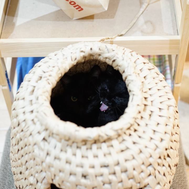 395405f7 dc32 4e93 921c 22929baf50fe 1550720177273