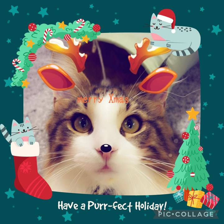 39541ec6 1123 4e39 aa35 4f77a35d6f99 1640378171394