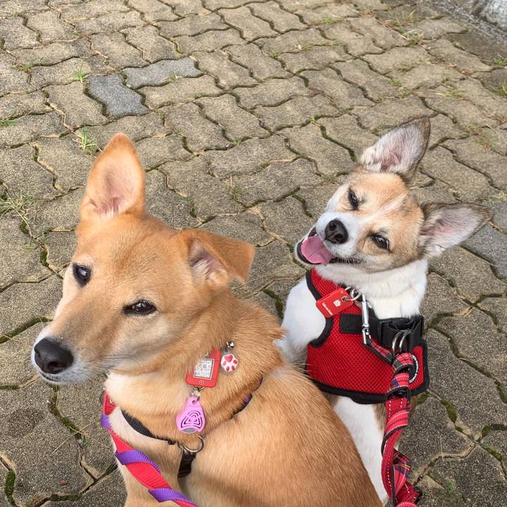 3954749e d277 4aa8 973e db05d3ac22a0 1570412255928