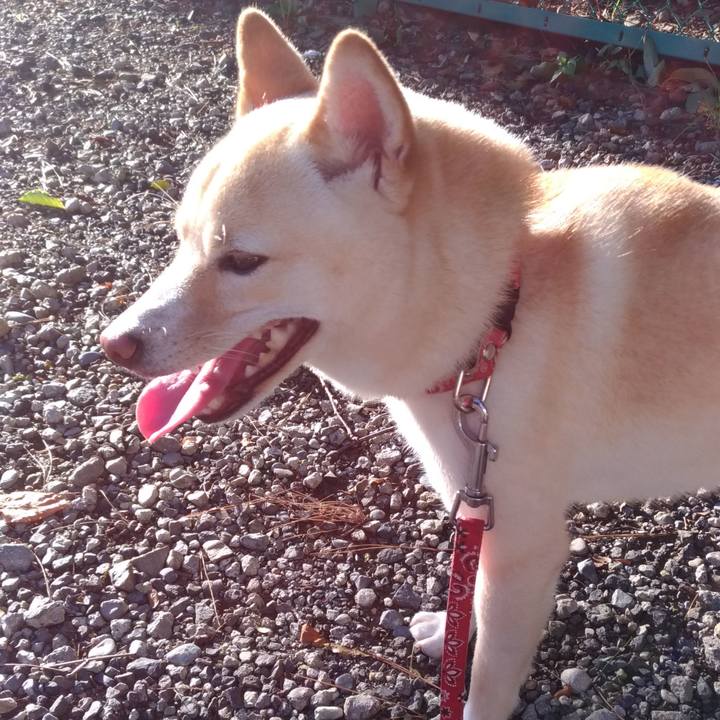 39548be3 a23e 40c4 9c46 ac118ff10cb8 1535234542698