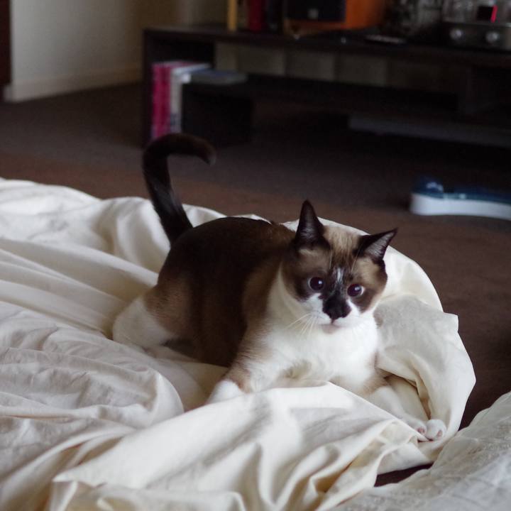 3954aaeb f92f 4c7e 826c a40277ccc2fa 1525418162863