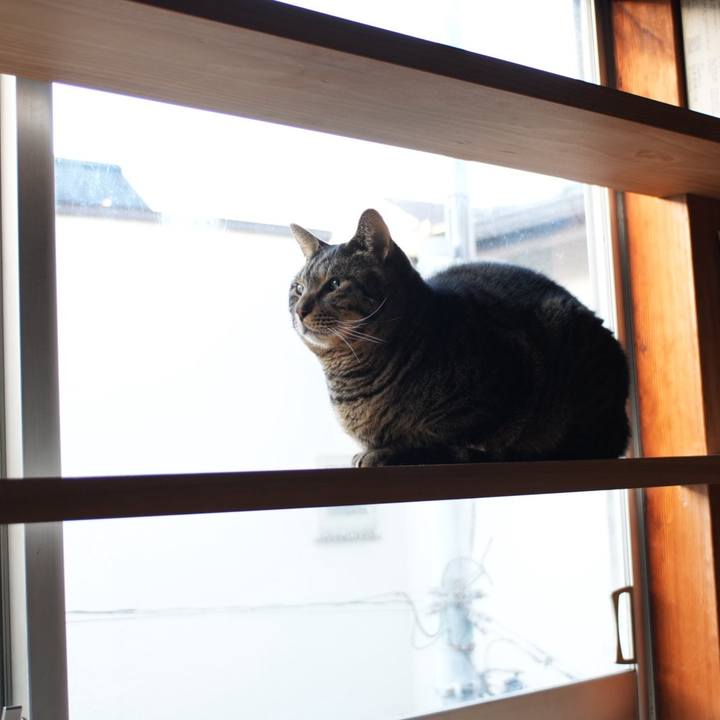 3954bc73 23e1 4177 91f3 1e4fb8b2efa5 1734649700512