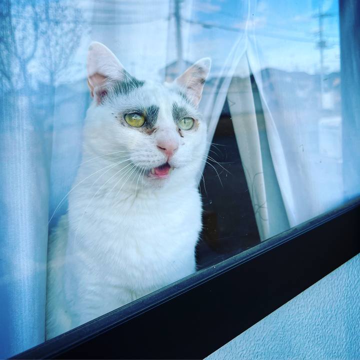 3954da93 29a6 4dcf 9719 84ca467a71f2 1648564003489