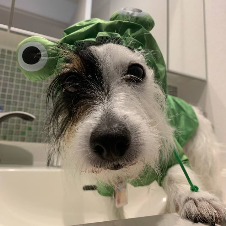 3954fd0c 988b 4456 88f2 37f8f0fcef02 1652686371675