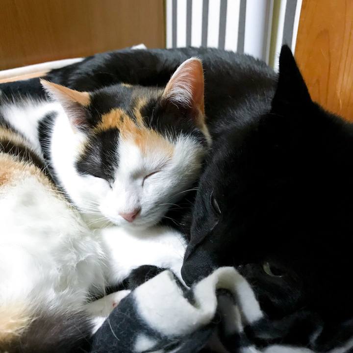 3955014a 0146 4ec3 abc0 e8ef000200c2 1522767474418