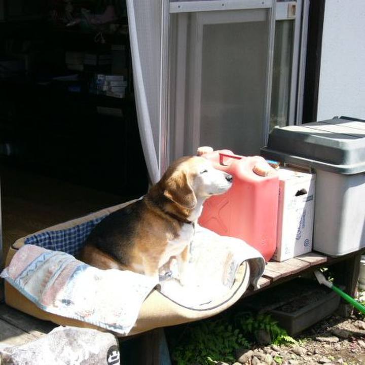 39550fb4 f645 4e60 aab3 6be97cf19080 1645667099567