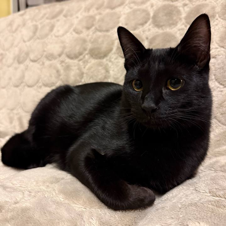 395524cf 021a 4347 8e02 c691bc47199e 1763637537181