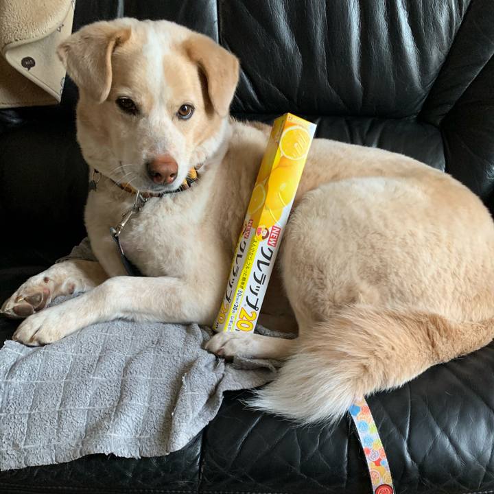 3955a74d 0186 43c5 9c57 54989a320a65 1585121192956