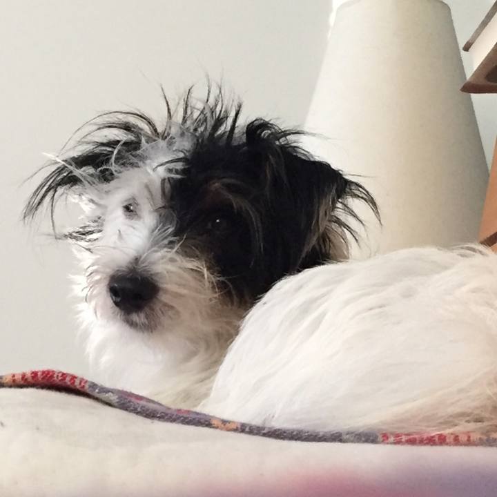 3955bf4c e2d2 41a0 a809 b5b59453da57 1508882459505