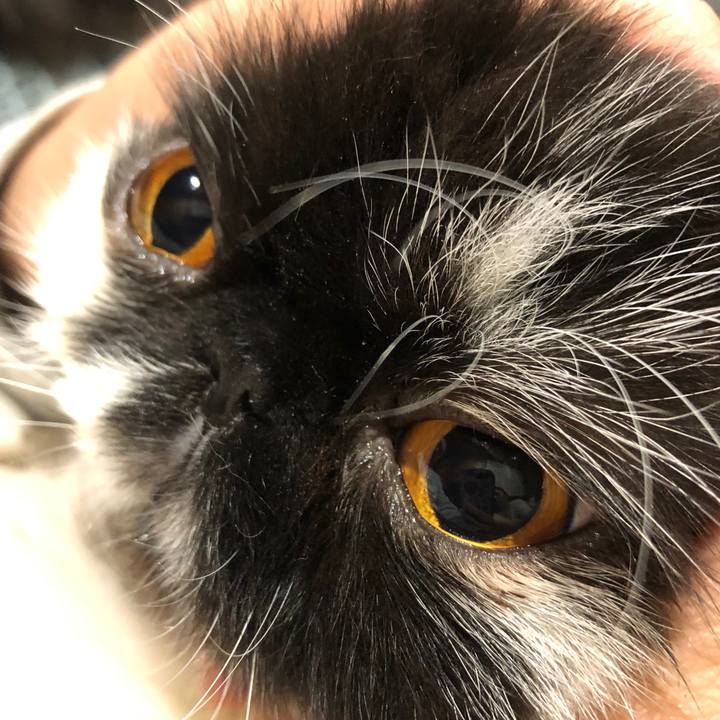 3955ca61 f1c2 4173 acbb b9323ed3ddfb 1618660231573