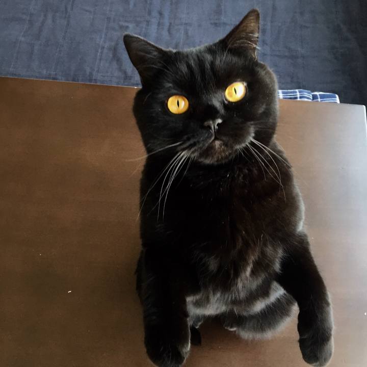 3955db79 07b9 4307 b5cc 707a8c1b1fdd 1583370709525