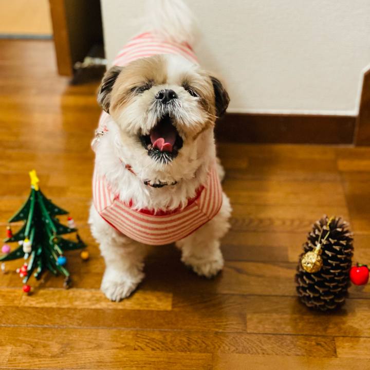 3956390e b1ce 43b6 9a2d 84cf377ed054 1635992547609