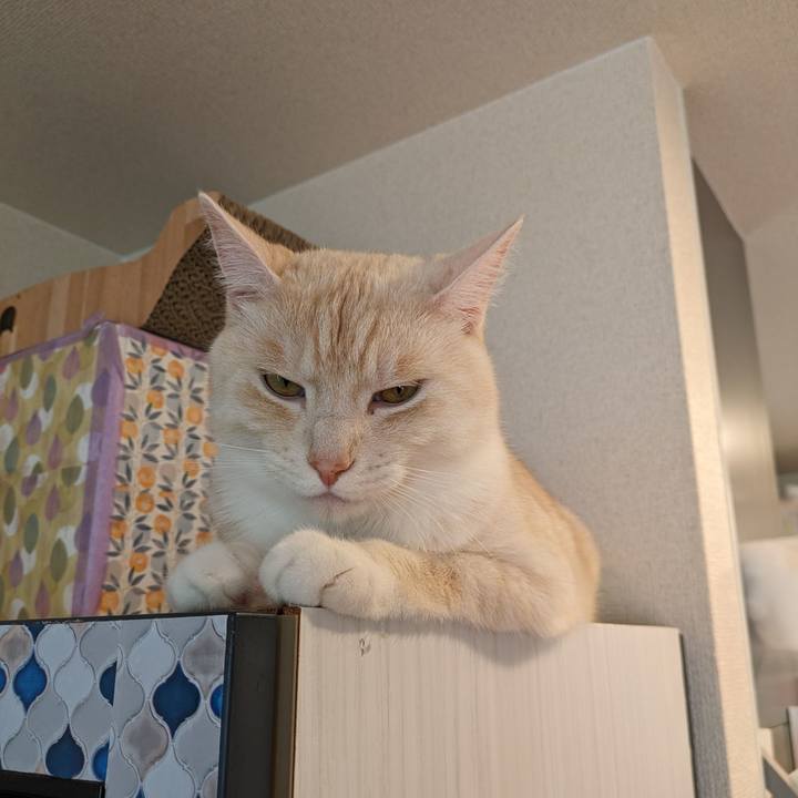 3956795d 6d7d 42dd a15f 151c620c367a 1689040767188