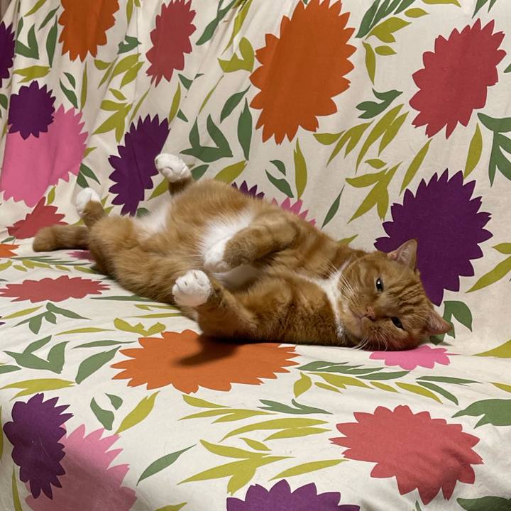 3956cf48 3652 4777 b79f 5b9f9dc7bbde 1665754802206