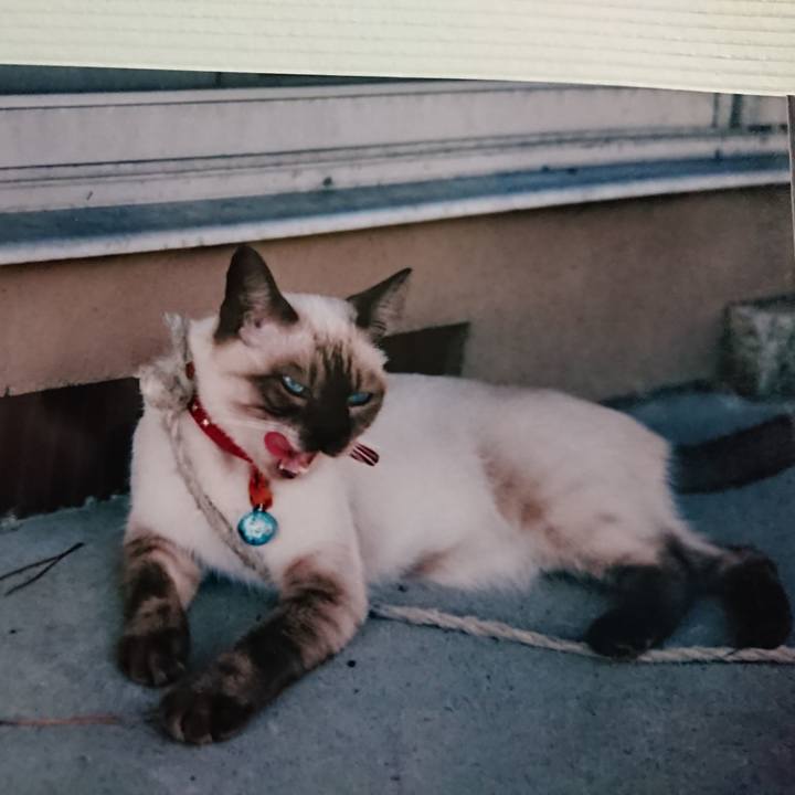 3956d7cf 8dcb 4383 86f2 58b47ccb3cd9 1588647191047