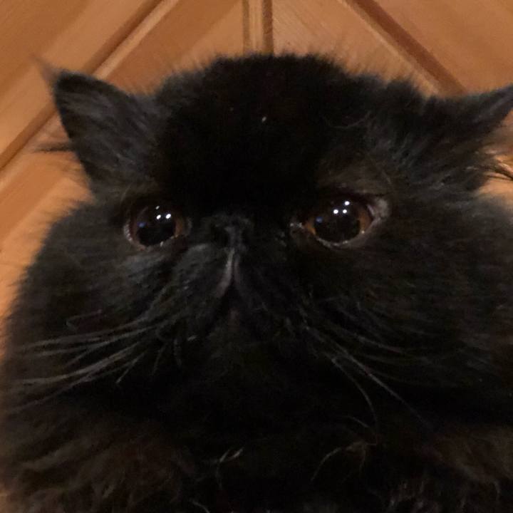 3956f5ee 9eb4 4c35 a4e6 34d0c05e6aa1 1559395903276