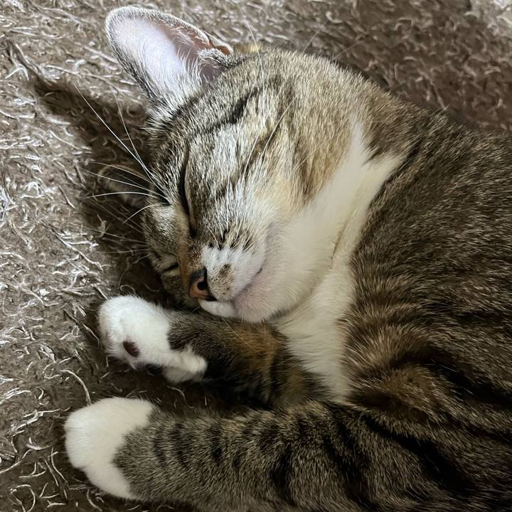 39572719 c71e 4896 bf88 83a2a805f9ca 1704033397192