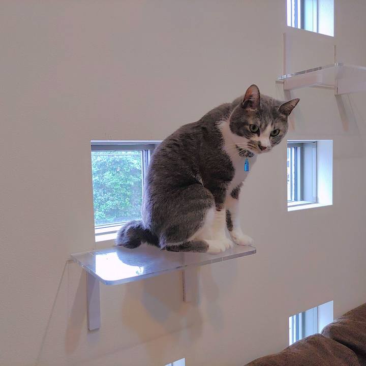 3957314e e949 4aef b9b7 2aaf745b2f10 1685499236975