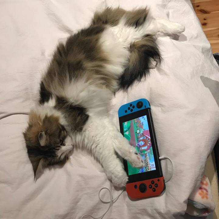 395780d6 d58b 4f59 951c 78522ed2b4e1 1587370880687