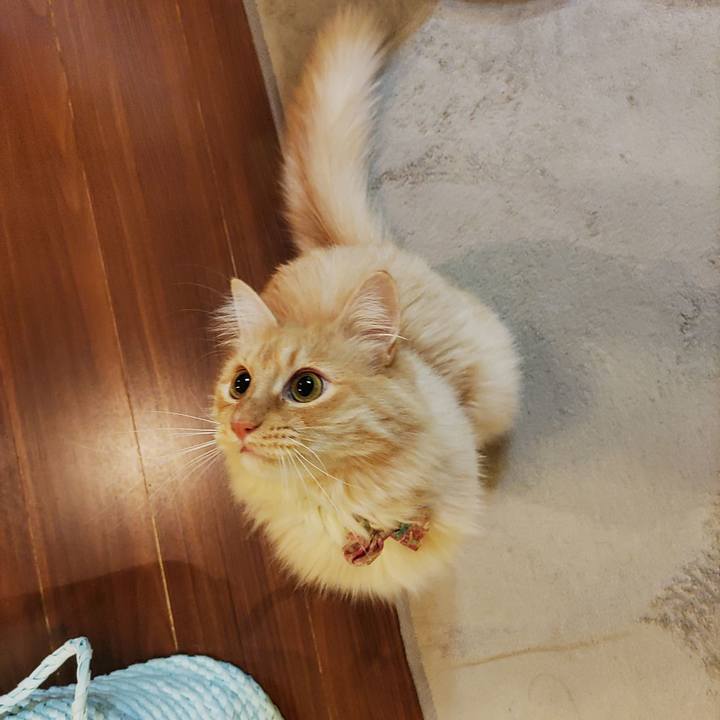 3957be7b 5542 4256 b04a 01161c7a795f 1670538766336