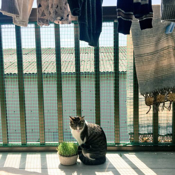 3957de97 d4cd 4696 8178 5d0f40947ba0 1523581248457