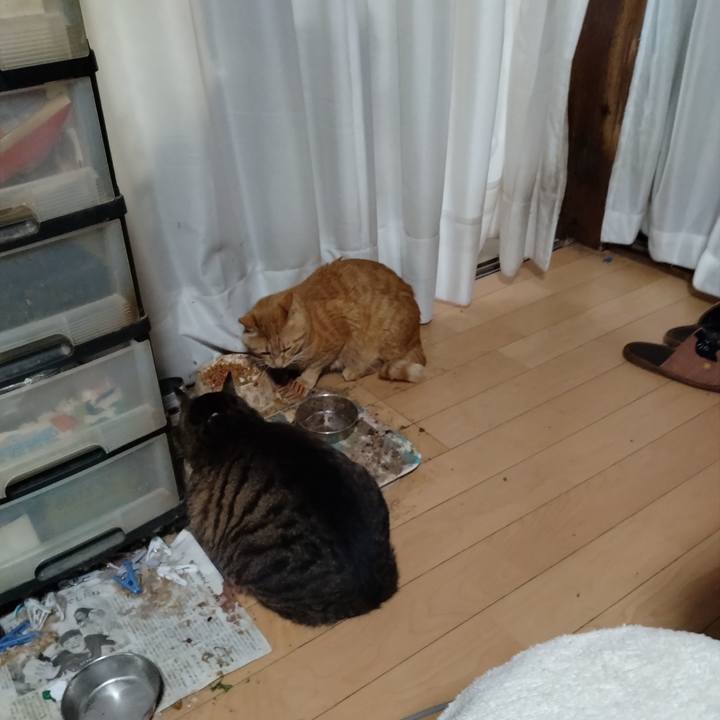 395804b5 d708 425b 82ea cf19903cc9c5 1715983965114