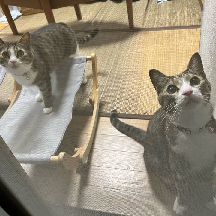 395852e9 7421 4af2 b793 b87af8587a28 1726567222179