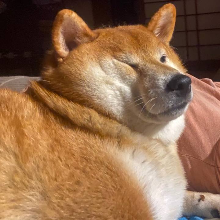 39586012 731c 4982 898f d52a3699c6dc 1600178467984