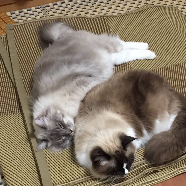 39587156 2042 42a2 928d 800708926318 1514813441826