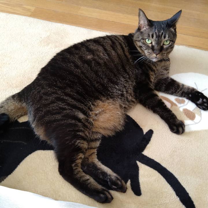 39588e88 a522 421c b79b c2b33791d413 1769258152005