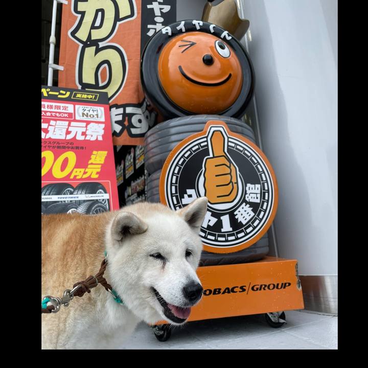 3958a632 2445 44af aeaf 571cbbb4d38c 1719110377758