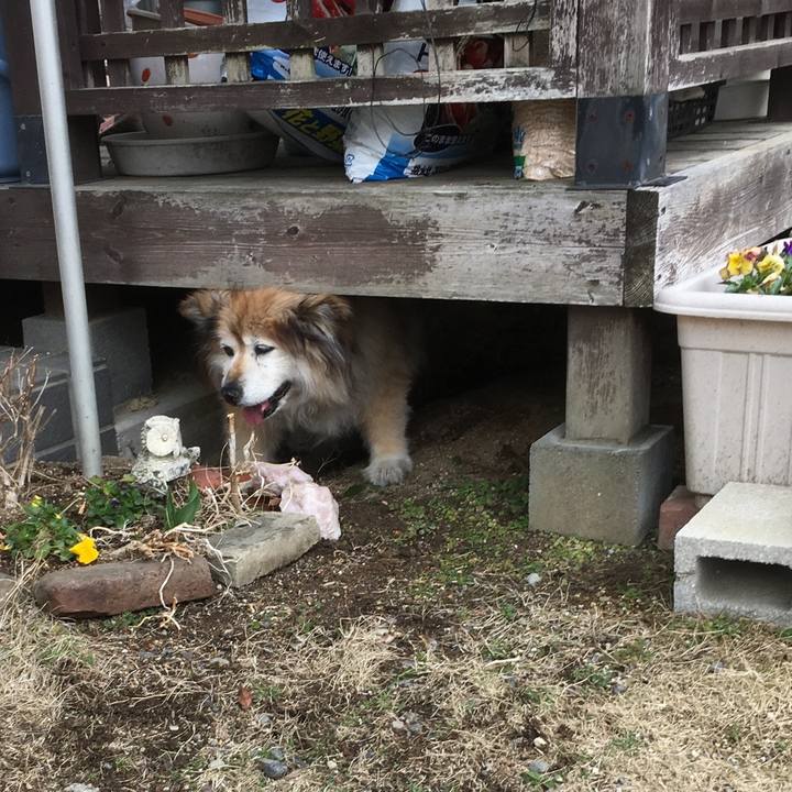 3958a6b4 515e 42d6 94ed efcde5d15a19 1617110713674