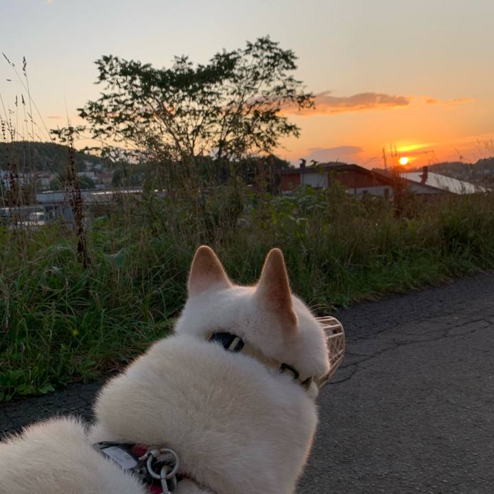 3958a773 f77d 492b bacf 2b0a5cdc0252 1600463917671