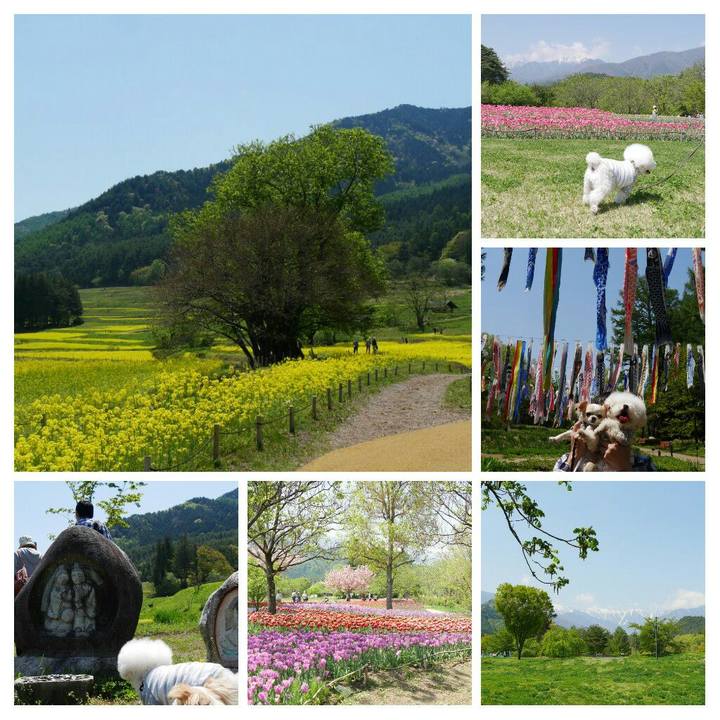 3958cf4b f818 4c35 ae25 145b01d01b54 1525167206915