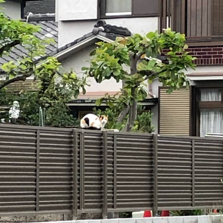 3958d2da 0052 43cf 9713 d3a28a8cb3fa 1603574689299