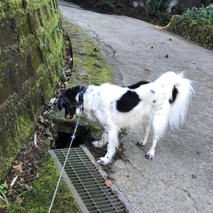 3959026a 90cd 4ab2 aac2 fc4e4753c434 1535262279572