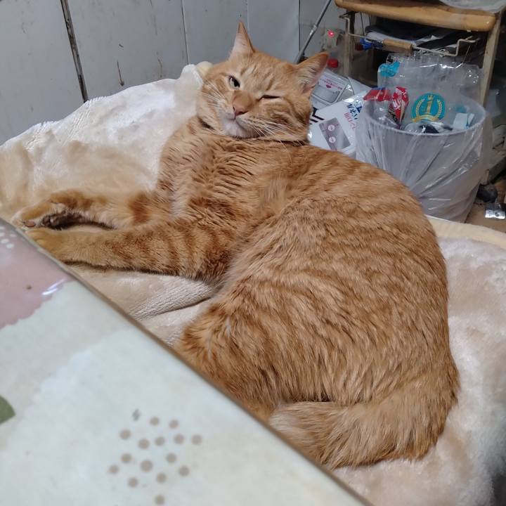 39591235 676f 447f a1bb 2aff64d3084a 1706487024447