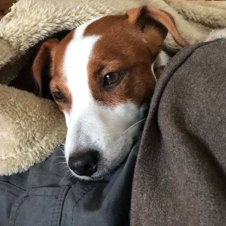 395945c9 f45b 4e21 948d 75f208017486 1604807147052