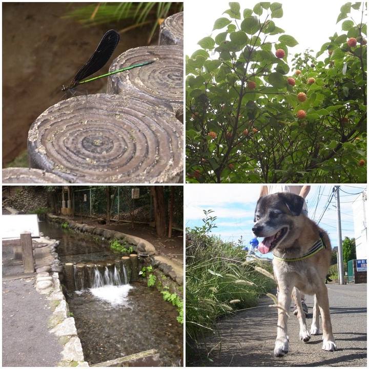 39594cc8 90cb 4db1 bb44 edec0068b9bc 1589244107951