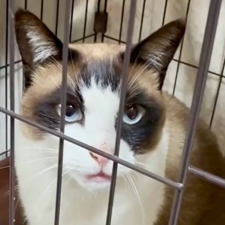 39595f35 1778 416f b839 5cae8265fab1 1749868444100