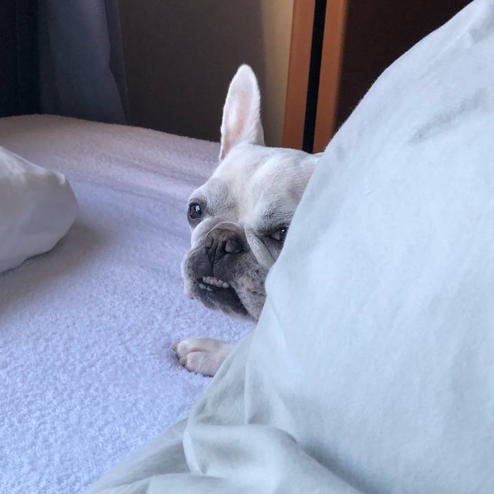 39596eab 5312 4b50 980d bd92c1fef25e 1635078218426